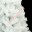 Фото 4: Искусственная елка "Сказка белая" из пленки ПВХ 1,50 м
