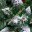 Фото 2: Искусственная елка "Элитная Серебрёная с шишками" 1,8 м